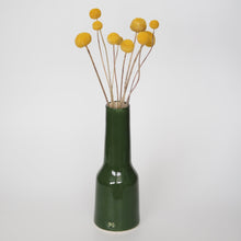 Load image into Gallery viewer, CAMPARI JUG - MOSS GREEN
